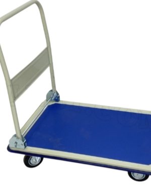 Xe đẩy hàng Bigmart BM300