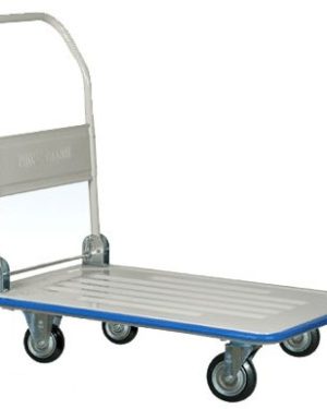 Xe đẩy hàng Phong Thạnh XTB100DG