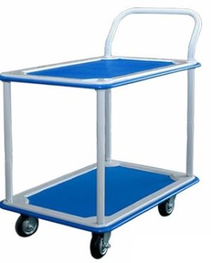Xe đẩy hàng Phong Thạnh XTB100T2